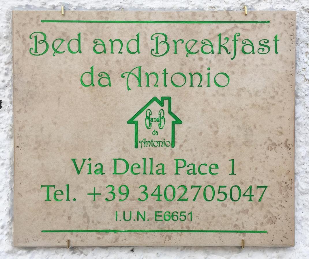 Bed And Breakfast Da Antonio - Оргозоло Экстерьер фото